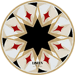 Astral Voice Drive Disc set icon